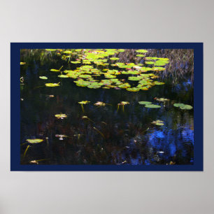 Water Lilies Photo Poster