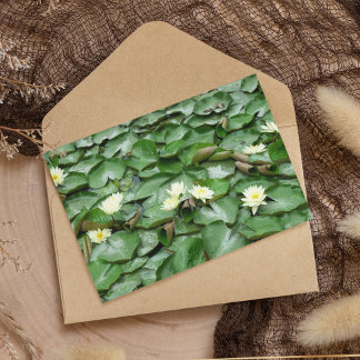 Water Lillies Card