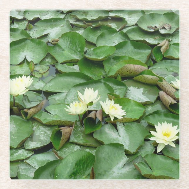 Water Lillies Glass Coaster (Front)