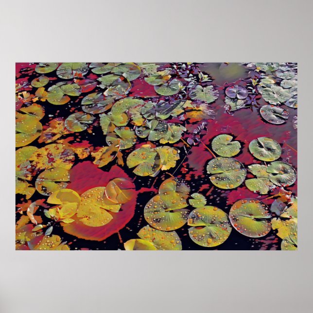 Water Lillies  Poster (Front)