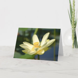 Water Lilly Lotus Card