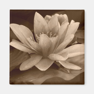 Water Lilly Magnet