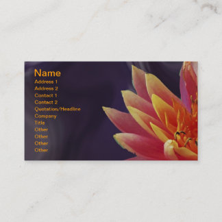 Water Lilly on Purple Background Business Card