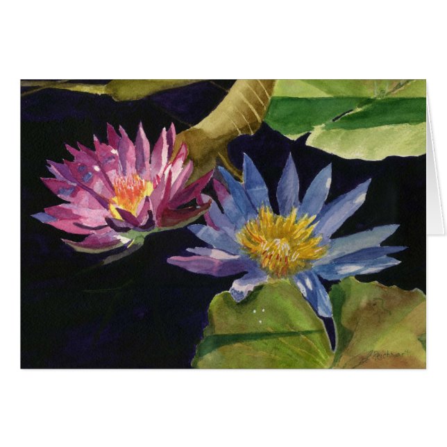 Water Lily (Front Horizontal)