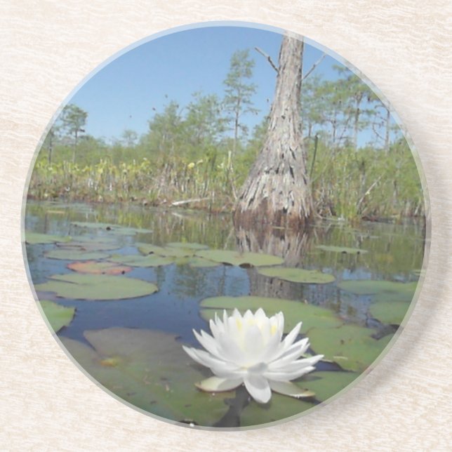 Water Lily 2 Coaster (Front)
