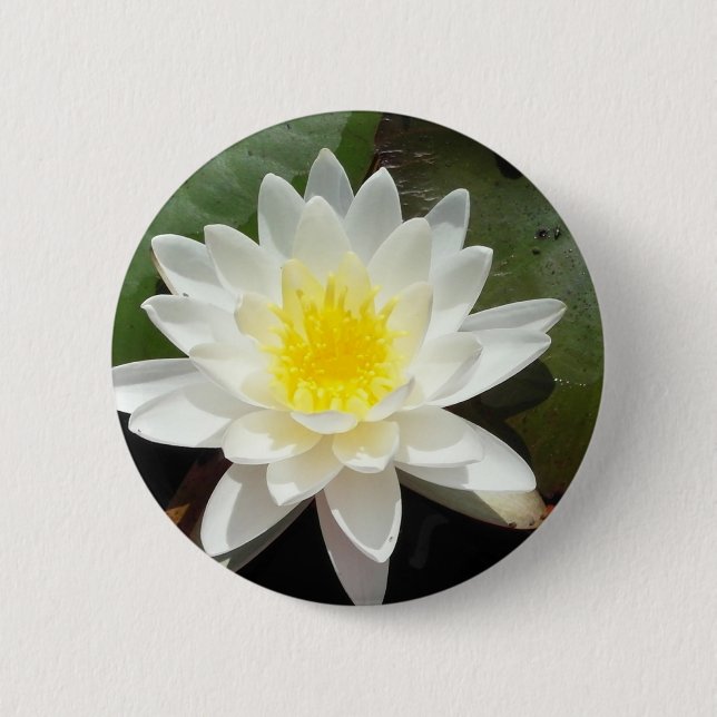 Water Lily 2 Inch Round Button (Front)