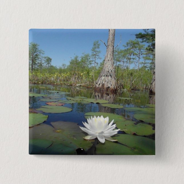 Water Lily 2 Inch Square Button (Front)