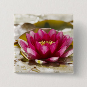 Water lily 2 inch square button