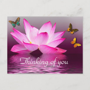 Water Lily and Butterflies Postcard