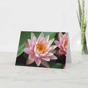 Water Lily Beauty Card