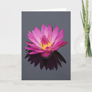 Water Lily Birthday Card