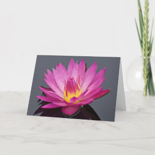 Water Lily Birthday Card