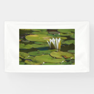 Water Lily Blossom Banner