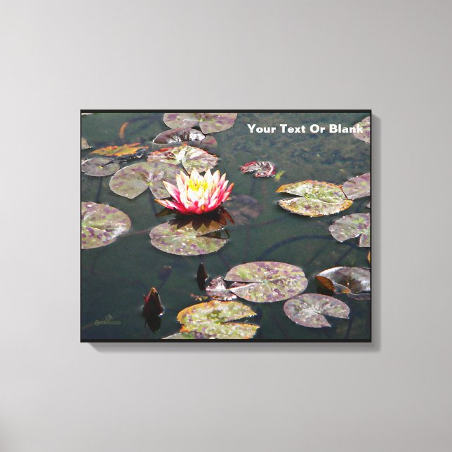 Water Lily Blossom Canvas Print (Front)