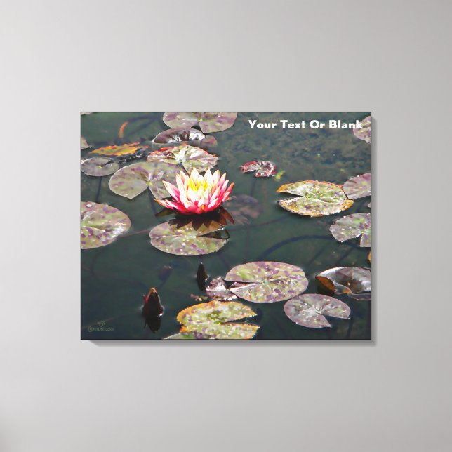 Water Lily Blossom Canvas Print (Front)