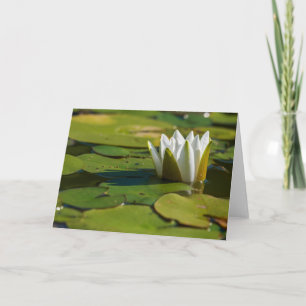 Water Lily Blossom Card