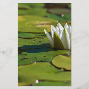 Water Lily Blossom Stationery