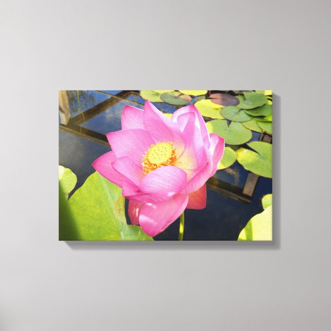 Water Lily Canvas Print (Front)