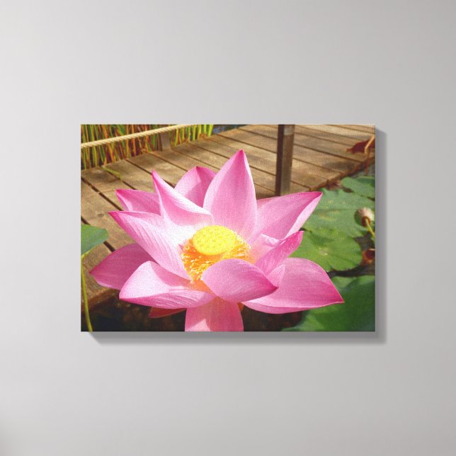 Water Lily Canvas Print (Front)