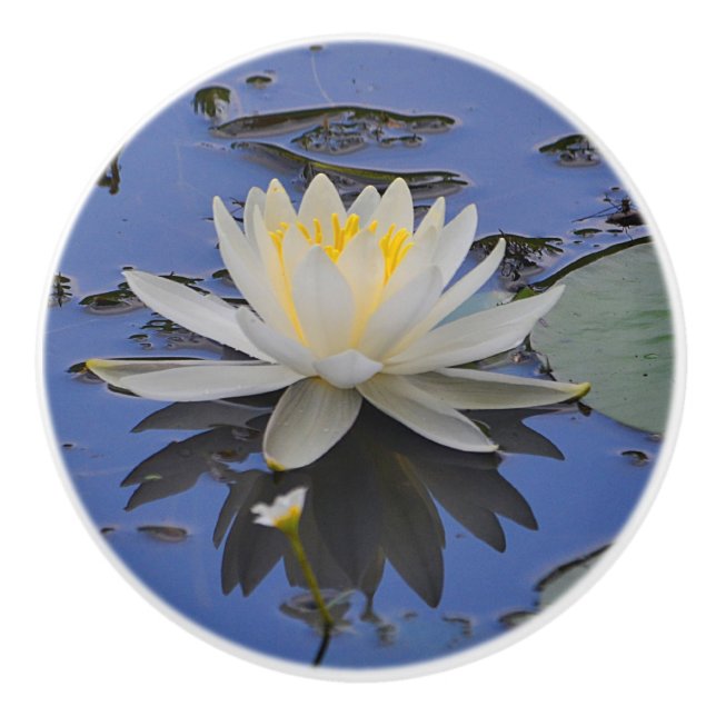 Water Lily Ceramic Knob (Front)