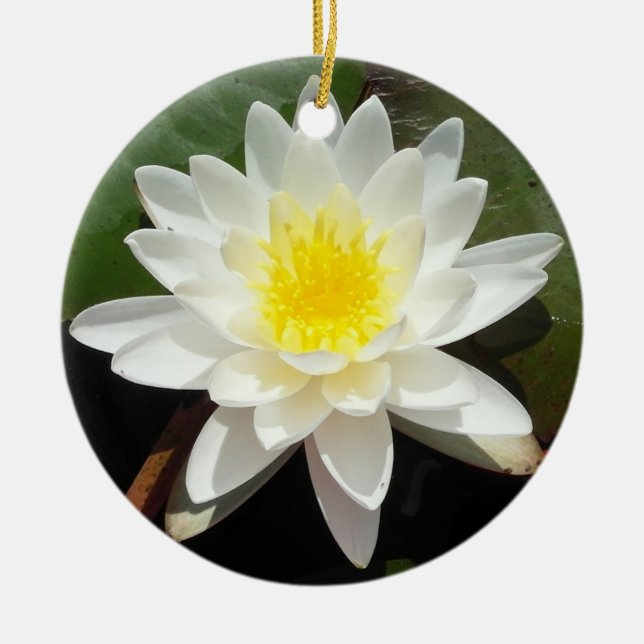 Water Lily Ceramic Ornament (Front)