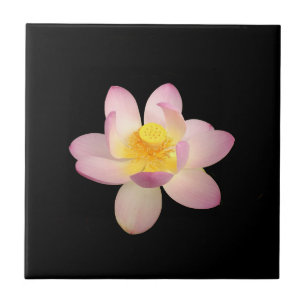 Water Lily Ceramic Tile