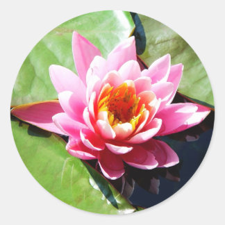 Water Lily Classic Round Sticker