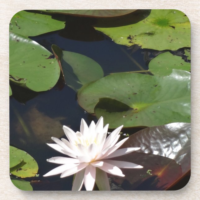 Water Lily Coaster (Front)