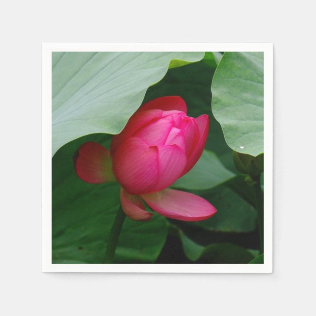 Water Lily Deep Rose Napkin (Front)