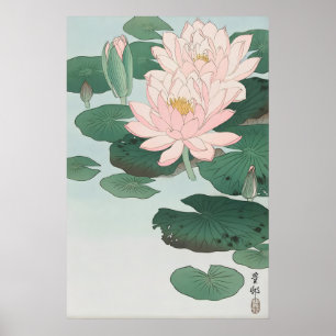 Water Lily Fine Art Print  Ohara Koson Japanese