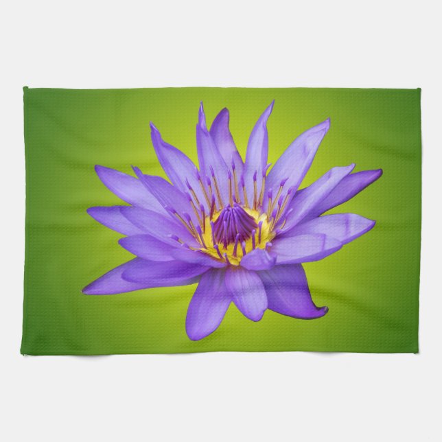 Water Lily Flower Pond Aquatic Purple Water Bloom Kitchen Towel (Horizontal)