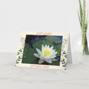 Water Lily Get Well Card
