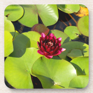 Water Lily Hard Plastic Coaster
