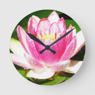 Water lily in crimean  garden round clock
