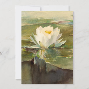 Water Lily in Sunlight   John La Farge