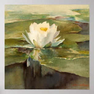 Water Lily in Sunlight   John La Farge Poster