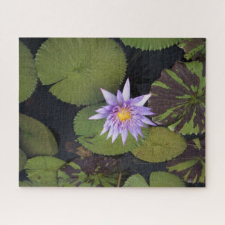 Water Lily Jigsaw Puzzle