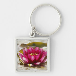 Water lily keychain