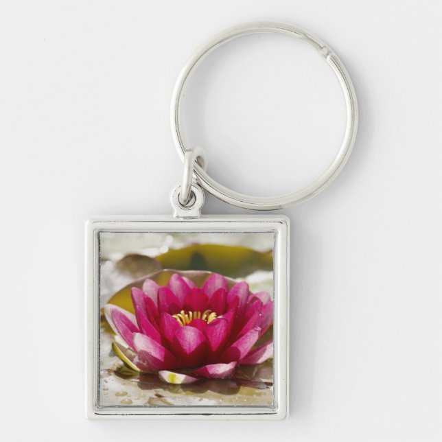 Water lily keychain (Front)