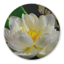 Water Lily Knob