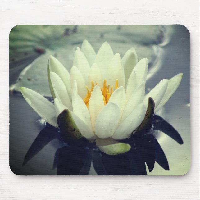 Water Lily Lotus Flower  Mouse Pad (Front)