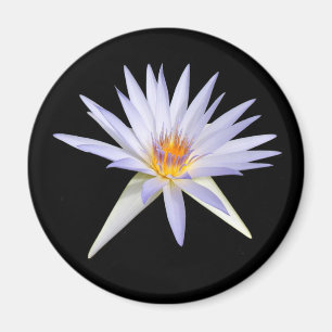 Water Lily Magnet