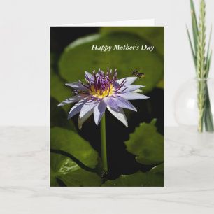 Water Lily Mother's Day Card