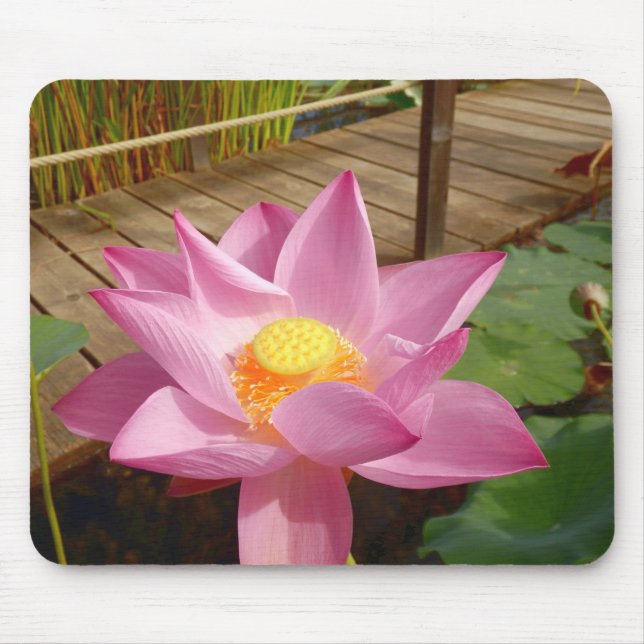 Water Lily Mouse Mat (Front)