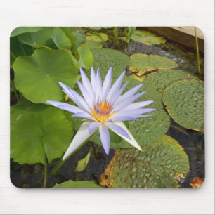 Water Lily Mouse Mat
