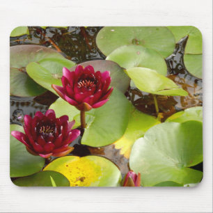 Water Lily Mouse Mat