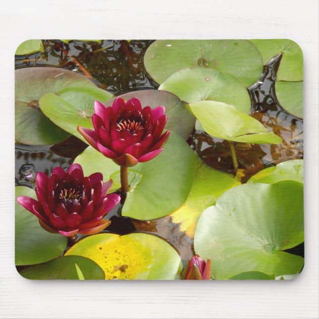 Water Lily Mouse Mat (Front)