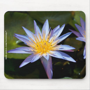 Water Lily Mouse Pad