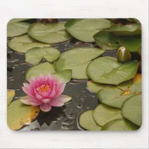 Water Lily Mousepad