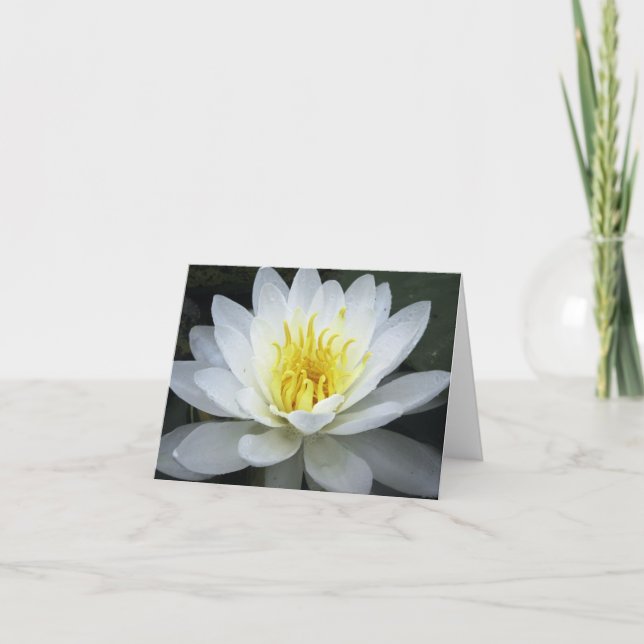 Water Lily Note Card (Front)